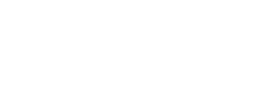 El Dato que Importa